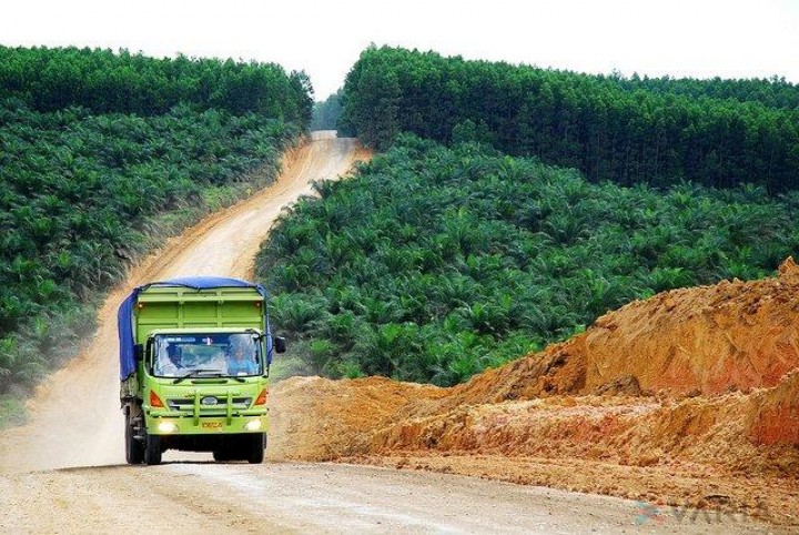 Kalimantan Timur Sudah Miliki 75 Unit Pabrik Pengolahan Sawit