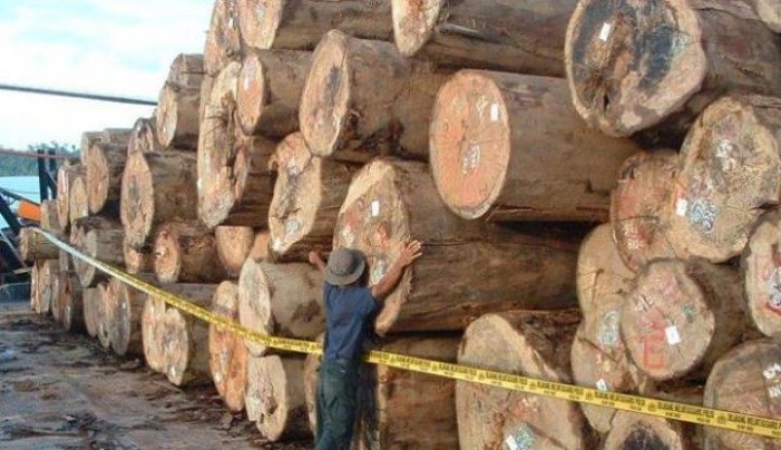 Ribuan Kubik Kayu Ilegal Disita di Trans Kaltim