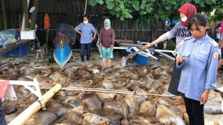 Tumpahan Minyak Teluk Balikpapan Berdampak Hingga ke Penajam 