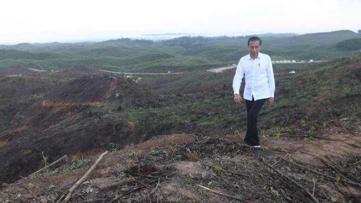 Jokowi Mimpi Bangun Transportasi Tanpa Sopir di Ibu Kota Baru 