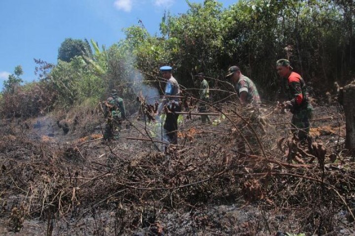 Tiga Peristiwa Karhutla Terjadi di Berau selama Agustus
