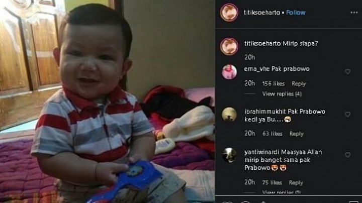feed