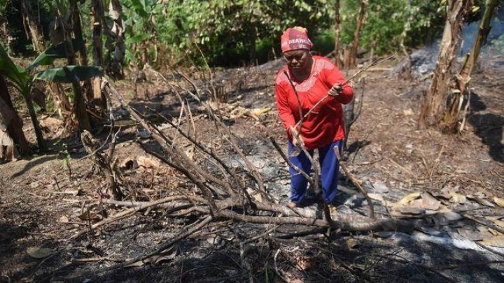 Kesaksian Warga Calon Ibu Kota Baru RI soal Pemburu Tanah