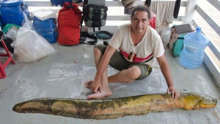 feed
