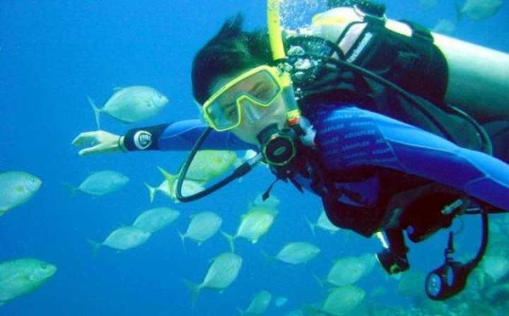 Keindahan Derawan Membius Pelayar Internasional
