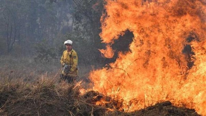 Belajar dari Cara Australia Atasi Kebakaran Hutan Tanpa Air