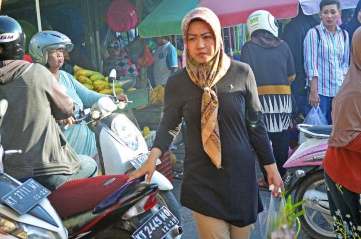 Sektor Tak Terbarukan Hilang Pamor, Saatnya Beralih ke Wisata