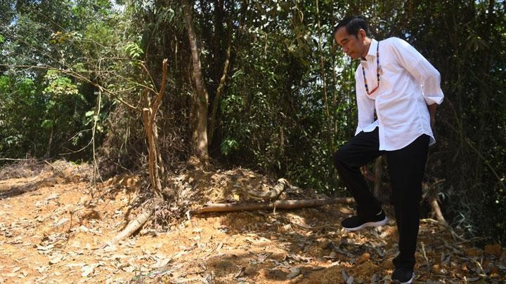 Jokowi Hari Ini Akan Tinjau Langsung Ibu Kota Baru di Sepaku 