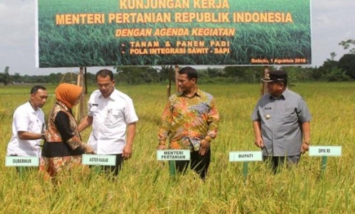 Kementan Optimis Kaltim Swasembada Beras Tahun Depan