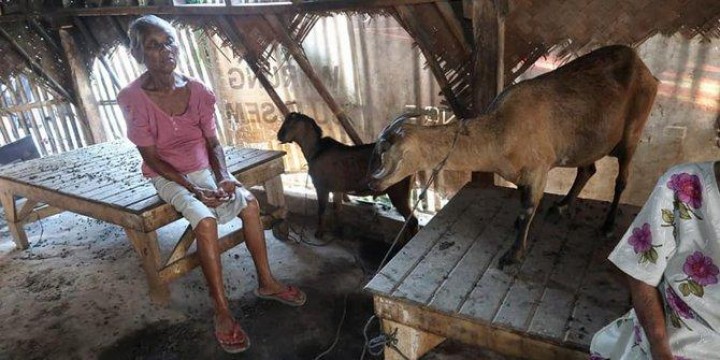 Potret Kemiskinan di RI, Ada Warga Tinggal di Gubuk Reot Hingga Kandang Kambing