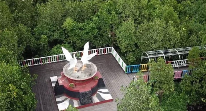 Ini Wisata Mangrove Paling Instagramable di Bontang