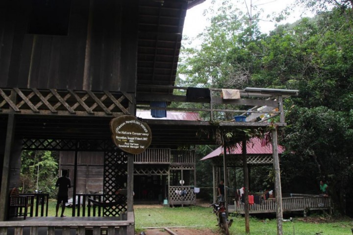 Hutan Adat Wehea Kebanggaan Kalimantan