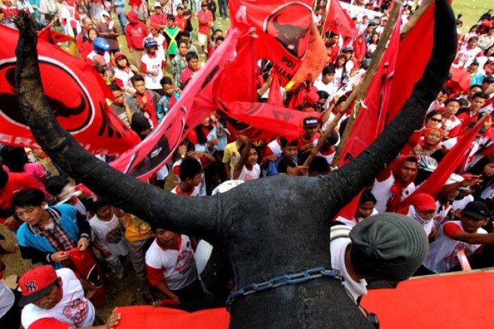 PDIP Umumkan Cagub Kaltim Pekan Ini