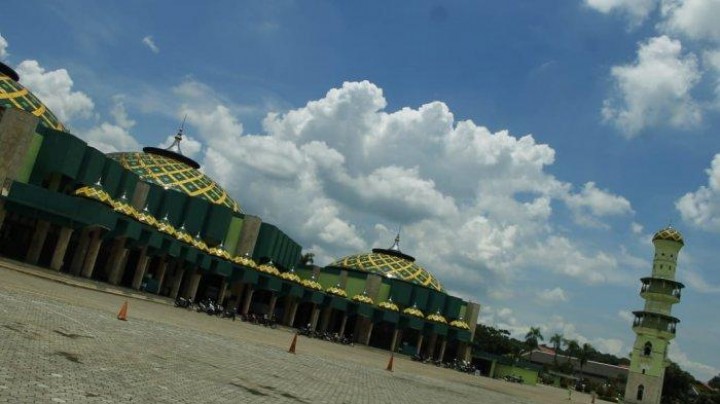 feed