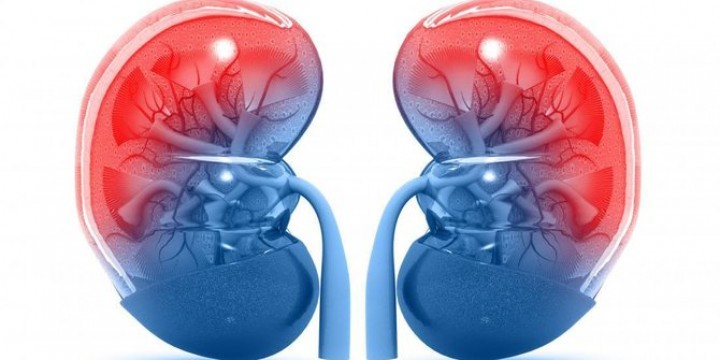8 Penyebab Fungsi Ginjal Menurun, Salah Satunya Sering Menahan Buang Air Kecil