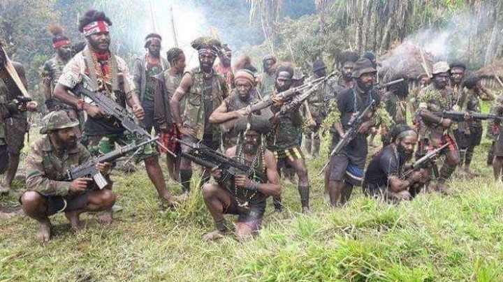 Fakta Tak Terduga KKB Papua Dikendalikan Sekelompok Orang, Kapolda: Mereka Inilah Pengendali Perang