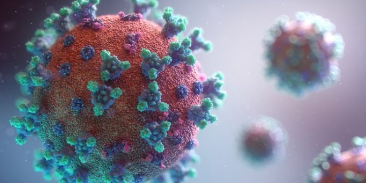 Pasien Corona di Kaltim Bertambah 10 Orang, 7 Berasal dari Klaster Gowa