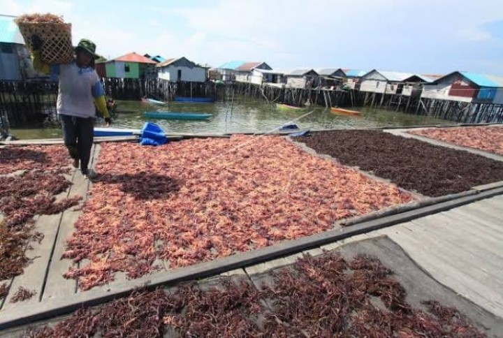 Pendapatan Warga Miskin Melahing Turun Sejak Pandemi Corona, Ketua RT : Tidak Tahu Ada Bantuan Dana