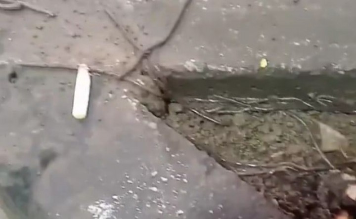 Ratusan Cacing Bermunculan dari Tanah di Solo, Ahli Gempa BMKG Bicara