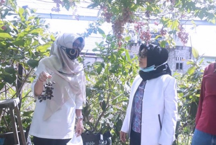 Kagum Budidaya Anggur, Neni: Pemkot akan Siapkan Lahan