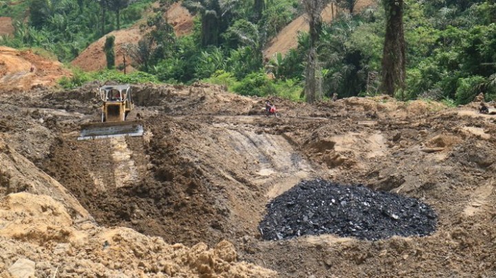Tambang Ilegal di Dekat Ibu Kota Baru Beraktivitas Terang-Terangan