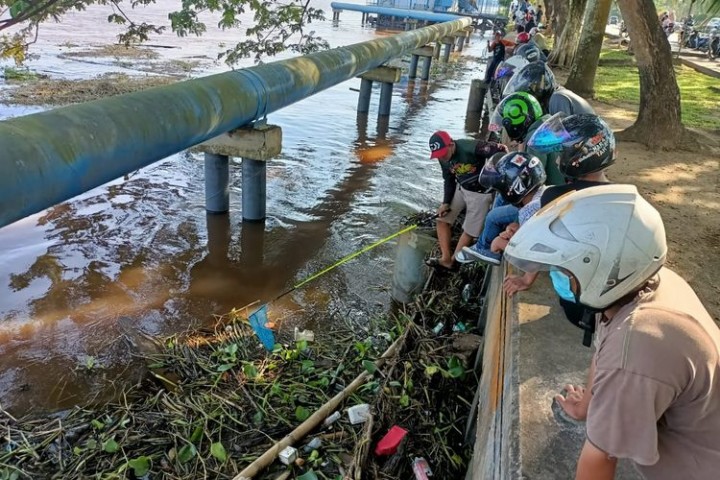 Banyak Ikan Mati Mendadak di Sungai Mahakam, Begini Penjelasannya