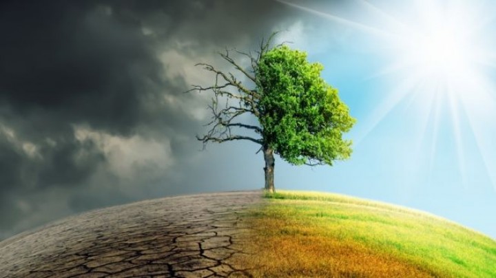 Daftar Wilayah Indonesia yang Terancam Tenggelam di 2050