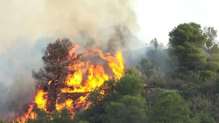 Masuk Musim Kemarau, Samarinda Mulai Antisipasi Karhutla