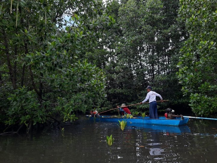 Kembangkan Potensi Mangrove, Pupuk Kaltim Raih Penghargaan AREA 2021 Kategori Social Empowerment