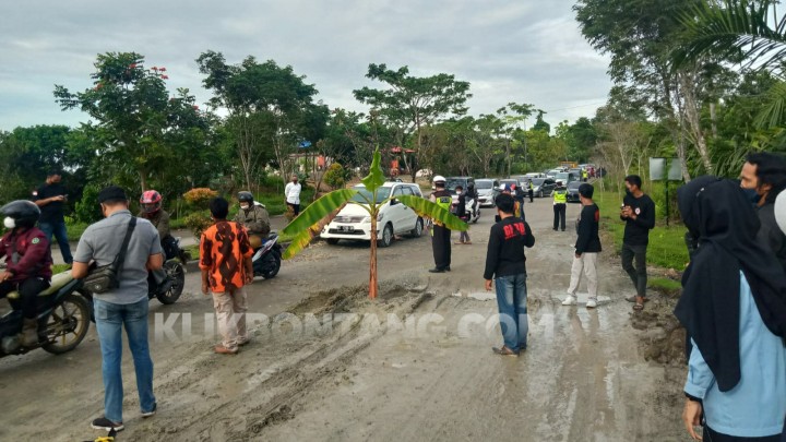 Protes Jalan Bontang Lestari Rusak, Warga Tanami Pohon Pisang