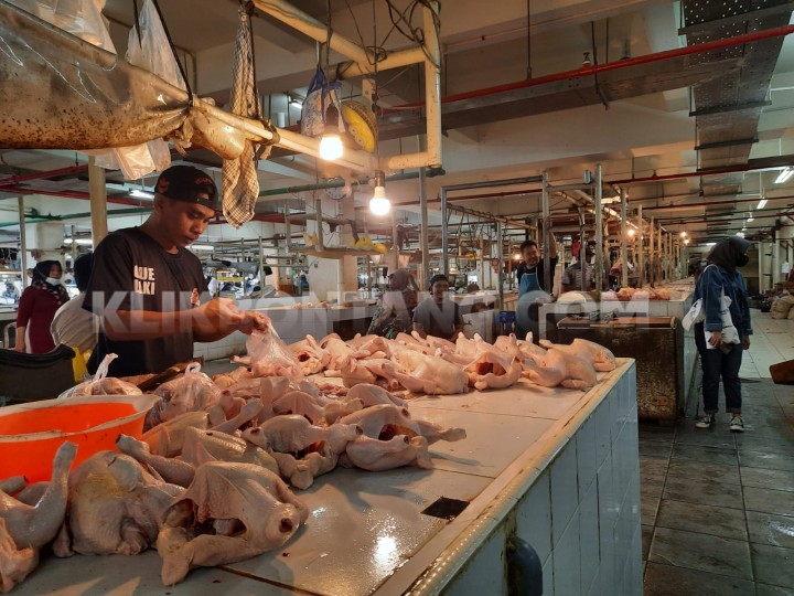 Harga Ayam Potong Masih Tinggi, Melonjak Sejak Tahun Baru