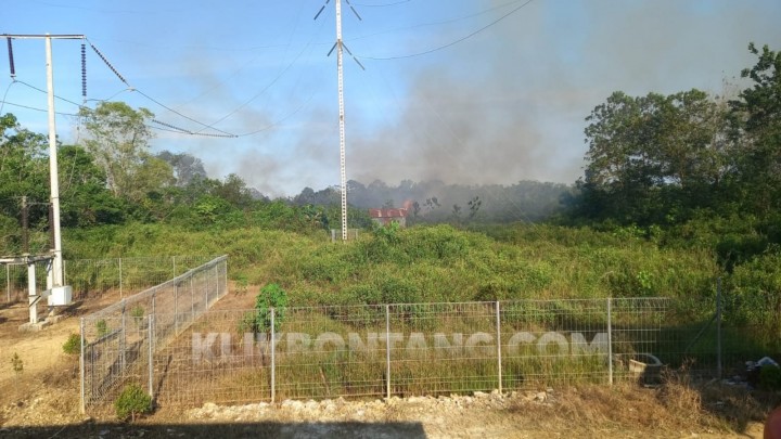 Setengah Hektar Lahan di Bonles Terbakar, Diduga Sengaja Dibakar