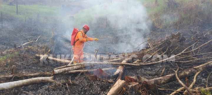 Lahan di Kusnodo Terbakar, Diduga Sengaja Dibakar