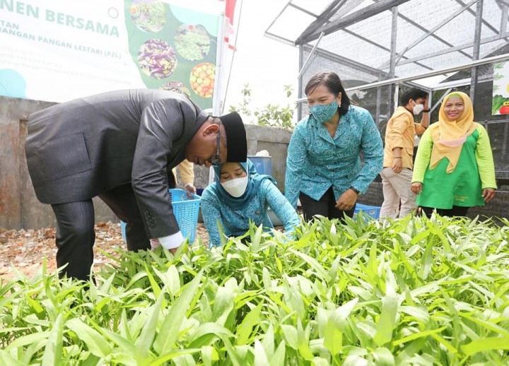 Wali Kota Basri Terpukau Hasil Panen Kelompok Pekarangan