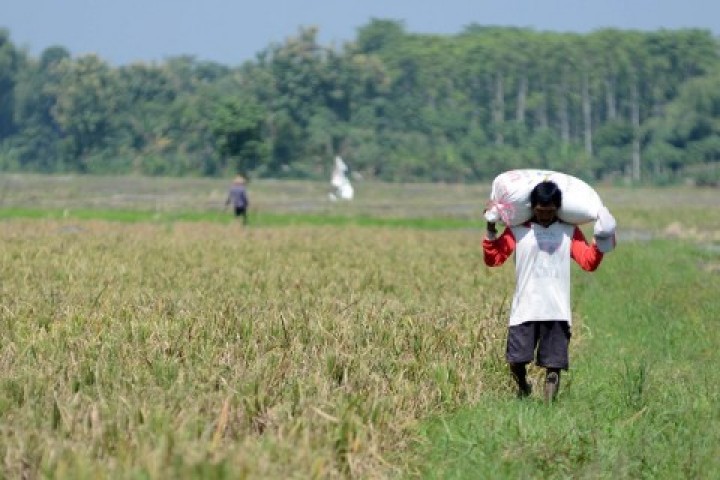 Pekebun di Kaltim Jadi Petani Paling Sejahtera, Ini Buktinya
