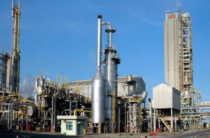 PT YUM Buka Loker 30 Orang Penempatan PKT, Simak Syaratnya