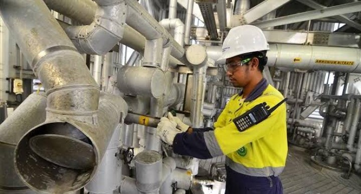 YUM Buka Loker 14 Pekerja TA, Dibuka hingga 12 Desember 2022