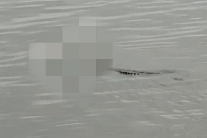 Jasad Bayi 4 Tahun 'Diantar' Buaya di Tepi Sungai Kukar, Tak Ada Bekas Gigitan