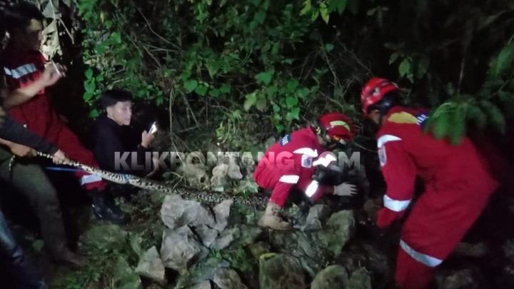 Disdamkartan Bontang Evakuasi Ular Piton Ukuran 4 Meter