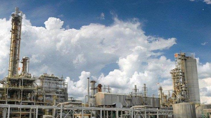 PT PSE Buka Loker Lagi, Butuhkan 34 Pekerja Penempatan di PKT