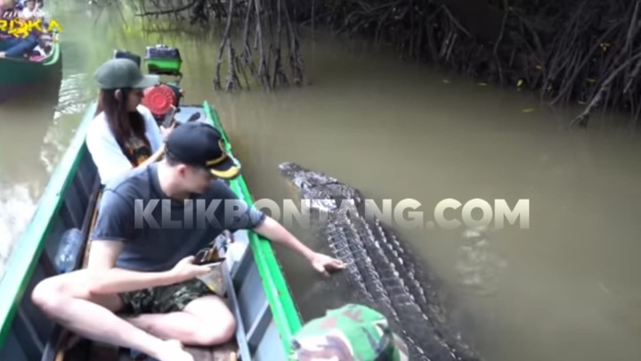 Buaya Riska Bukan Objek Wisata, BKSDA Kaltim : Larang Bikin Konten Ambo - Riska