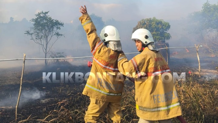 Cuaca Ekstrem, 19 Hektare Lahan di Bontang Terbakar Kurun Waktu Dua Hari