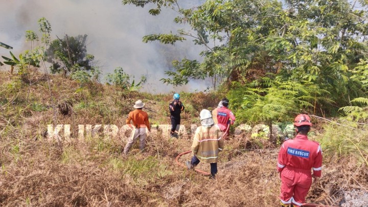 Karhutla Terjadi di Dekat Jalan Hauling Bontang Lestari, 8 Hektar Lahan Terbakar