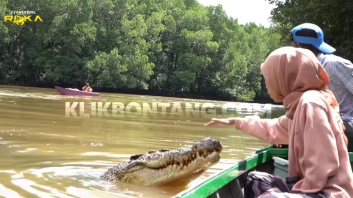 Masata Bontang Usulkan Buaya Riska Jadi Wisata Rimba