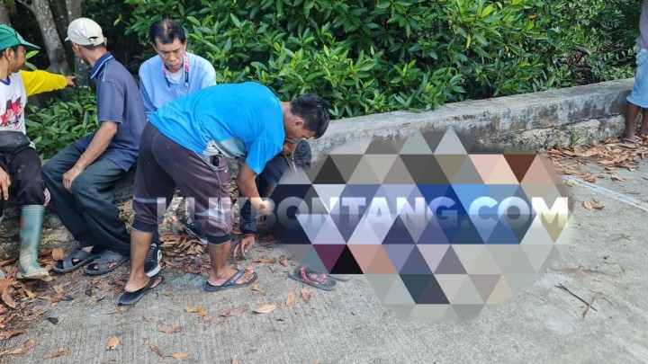 Geger Mayat Pria Ditemukan di Hutan Bakau Bontang Kuala