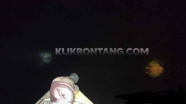 Setelah Riska Dievakuasi, Masih Ada 2 Buaya Guntung yang Bakal Direlokasi