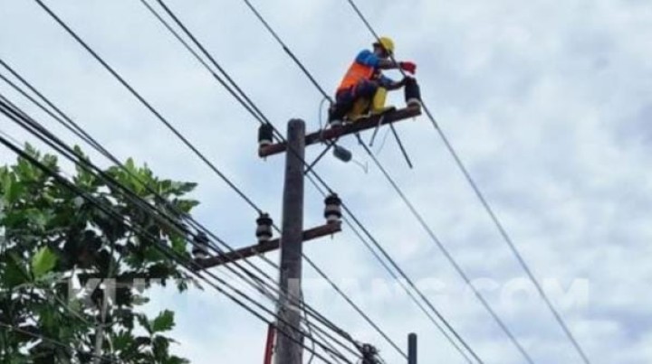 Listrik Wilayah Api-Api Padam karena Pemeliharaan Jaringan, Ini Jadwalnya
