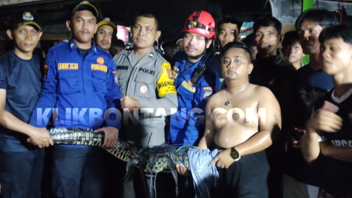 Berjibaku Selama Satu Jam, Buaya Masuk Kawasan Pemukiman Loktuan Berhasil Dievakuasi Petugas