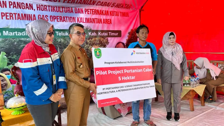 Bupati Ardiansyah Apresiasi Pilot Project Tanaman Cabai 5 Hektare di Martadinata