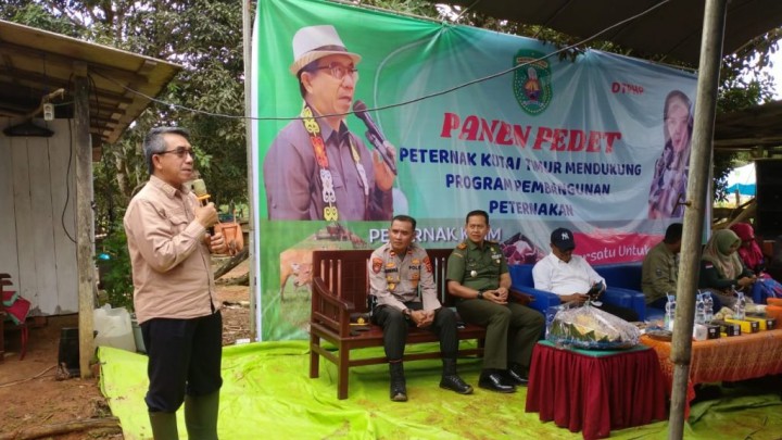 Panen Pedet di Desa Manunggal Jaya, Bupati Ardiansyah Targetkan Kutim Siapkan 5 Ribu Sapi Tiap Tahun